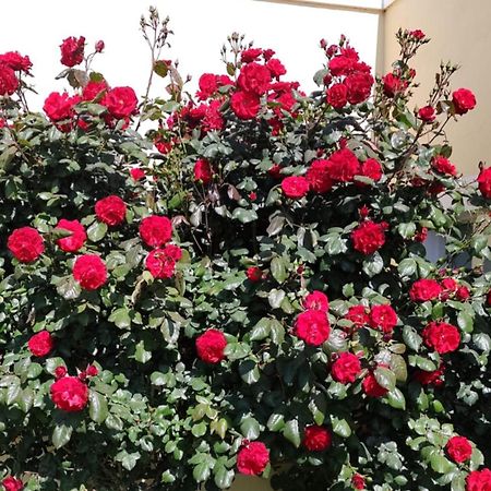 Mil Rosas Hotel Las Grutas Eksteriør billede